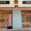 부천애견미용 멍미살롱 이미지