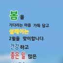 어은돌힐링야영장