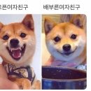 평양냉면칼국수 이미지