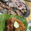 매월농원 이미지