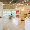 대구강아지분양 홍스퍼피 이미지