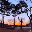 금산인삼골오토캠핑장 이미지