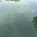 충혼탑공중화장실 이미지