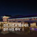 야경코스 | 경주 야경 투어 추천 코스 예약 후기 비교