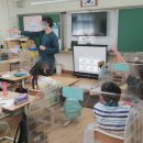 서울상신초등학교 이미지