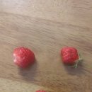 동훈농장 이미지