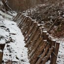 산골농장 이미지