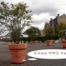 쵸코파이민박 이미지