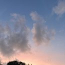 젤라헤어 이미지