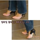 비비드포인