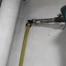 디엠에스 이미지