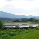 금산1구 이미지