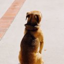 프라임동물병원 이미지