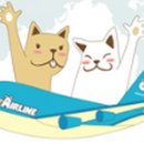 (주)펫에어라인 이미지