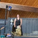 준호농장 | 뉴질랜드 패키지 여행후기 4탄 - 북섬 와이토모 동굴, 아그로돔 양 목장, 폴리네시안 온천(준비물 팁)