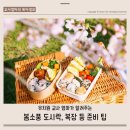 아이보호 네이버블로그
