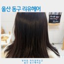 서지나헤어리더 | 방어동머리잘하는곳 리유헤어 클리닉 후기