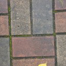 사방부동산중개 이미지