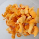 장수하늘소농장 이미지