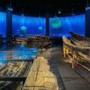 순천만실내(회)마차 | 전남 겨울 실내 여행지 TOP 5: 여수 밤바다 &amp; 순천만의 낭만을 실내에서 즐기는 코스!