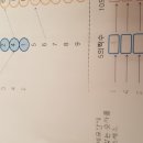 심원초등학교+중앙초등학교+미래유치원 이미지
