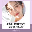 비트윈성형외과