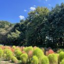 봉덕농장 이미지