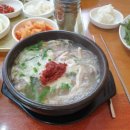 유연약국 | 코스트코 유산균 추천 약국 제품 비교 후기