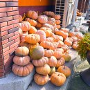 세븐일레븐 포항해도스마일점 | 내연산 보경사, 가을에 꼭 한번 와야 하는 이유! 그리고 스마일식당