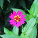 나드리야영장 이미지