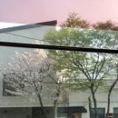 조니모터스 | 230401 K-league 5R 전북현대모터스vs포항스틸러스 케이리그 축구 직관 후기 (전주월드컵경기장...