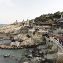 수원-0283 Daum카페