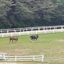 원당목장 이미지