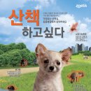 행복한산책 동물병원 이미지