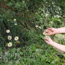 황둔초등학교 병설유치원 이미지