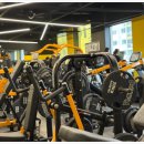 웰니스짐 이미지