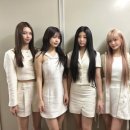 아일릿 카카오 검색결과