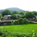 영화마을 이미지