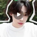 뉴하루가