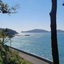 충남 보령 오션뷰 카페 추천, 바이더오 솔직후기 | 서해 바다 한눈에 담기는 원산도 대형카페