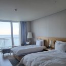 모두메딕스 네이버블로그