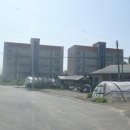 덕산면010 네이버블로그