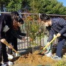 화창초등학교 이미지