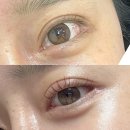 브로우바바 | 원주속눈썹펌 브로우바바, 자연스러운데 또렷! 펌포인트연장 후기