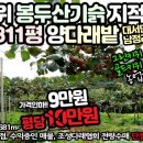 다래공인중개사사무소 이미지