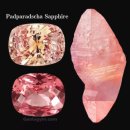 은예인발굴프로젝트 2nd | 산호와 루비, 그리고 사파이어 — 《법화경》의 padmarāga는 과연 어떤 붉은 보석이었을까?