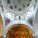 (주)피마 이미지