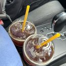 평지마을앞~신기마을앞 | 2026 광양매화축제 개화율 포토존 먹거리 셔틀 정보