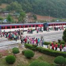 행복한장터 이미지