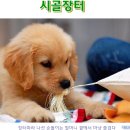 시골장터 - 북구 덕천로 316-1 | 시골장터